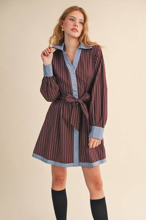 La Cadette Mini Dress