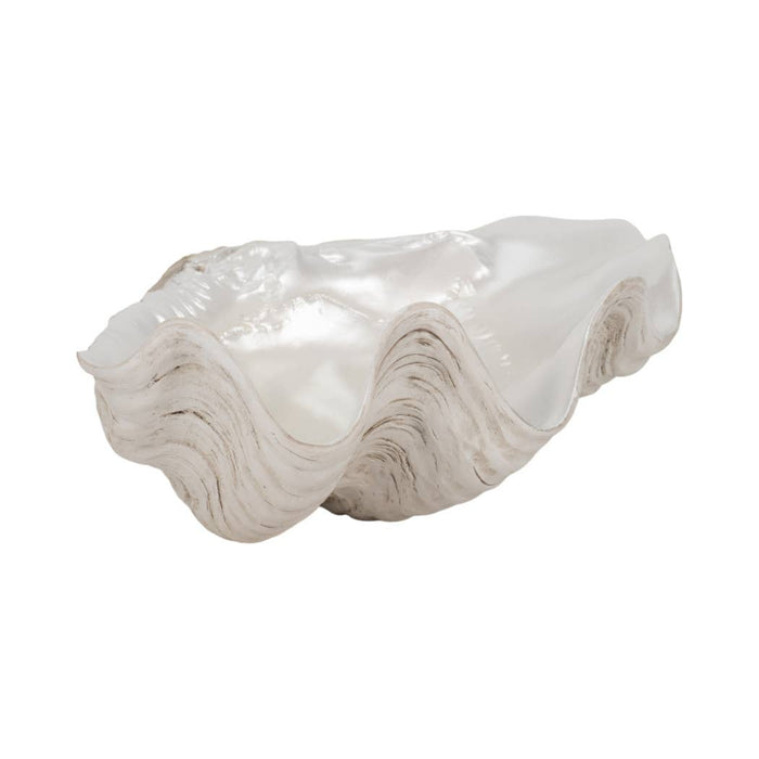 Shell Bowl