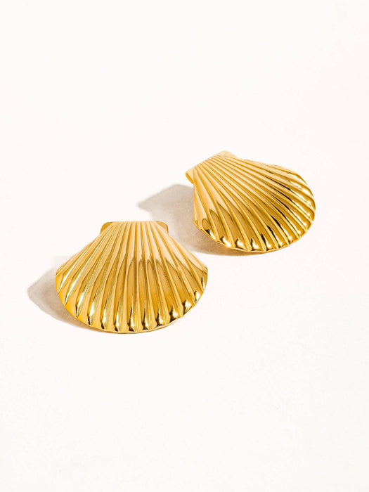Cape Shell Studs