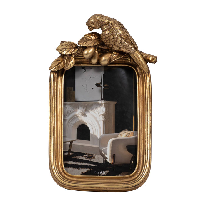 Parrot Frame