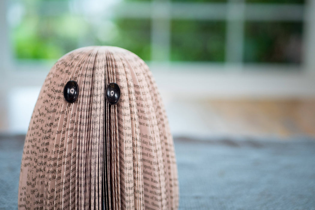 Ghost Repurposed Book Decor