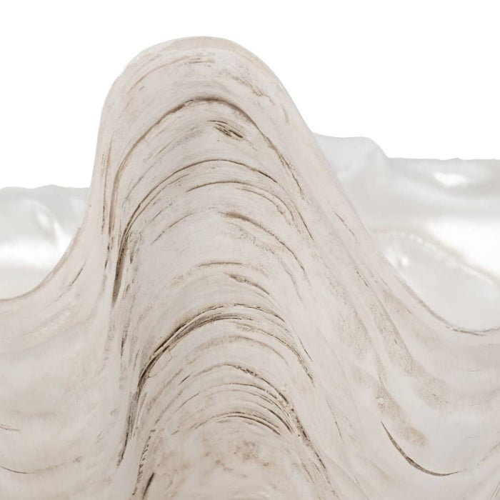 Shell Bowl