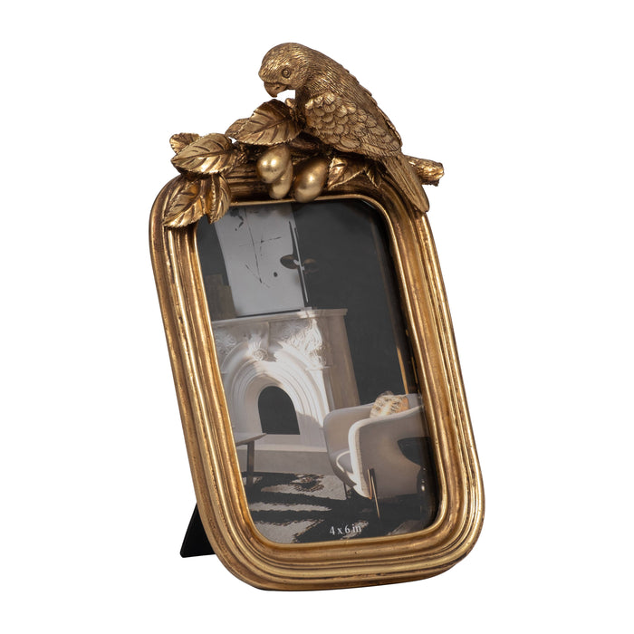 Parrot Frame