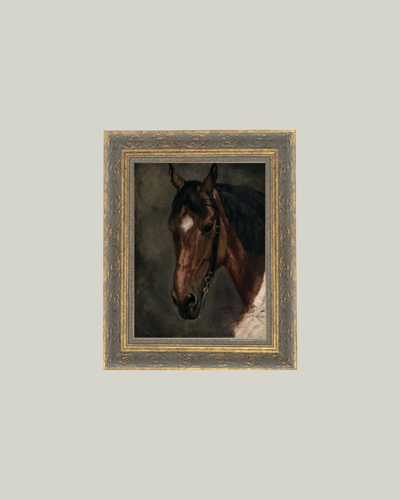 Horse Portrait