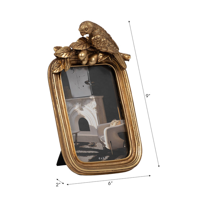 Parrot Frame