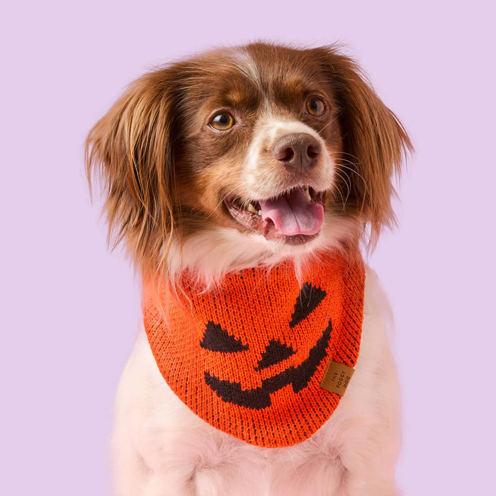 Jack-o’-Lantern Knit Dog Bandana