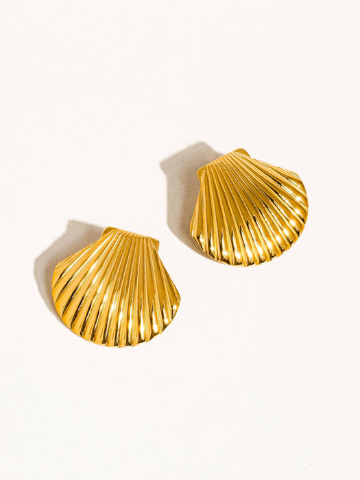 Cape Shell Studs