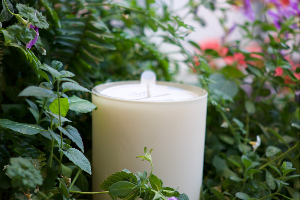 Moun x Élevée Candle