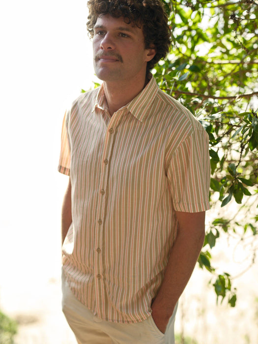 Summer Shirt