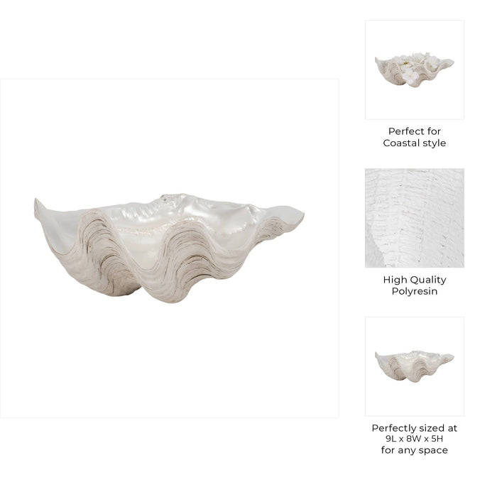 Shell Bowl