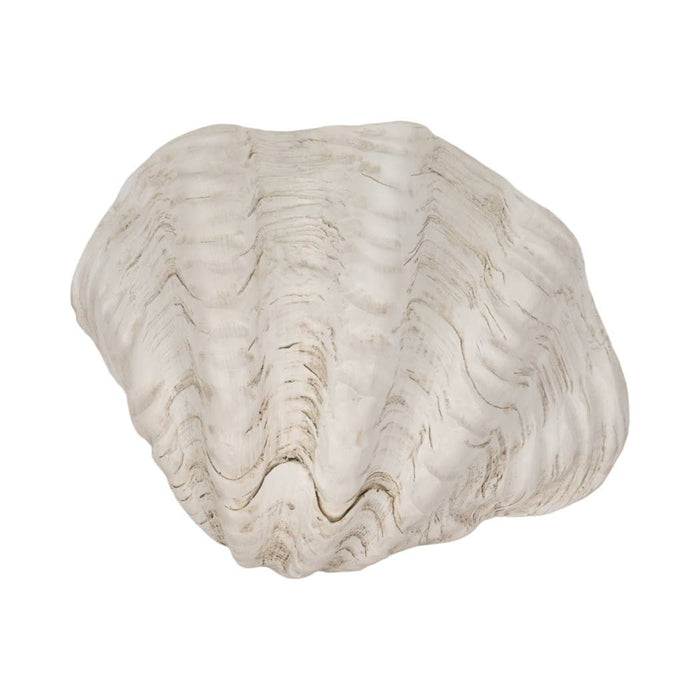 Shell Bowl