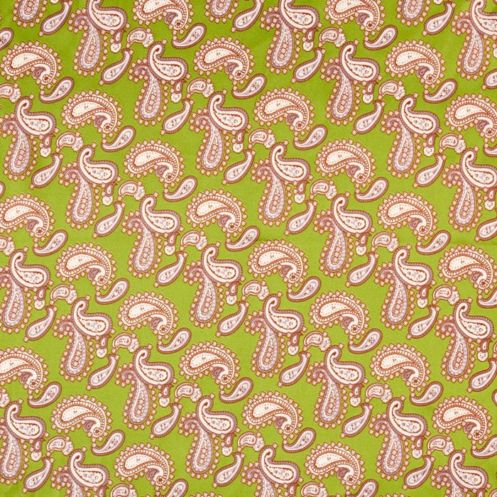 Paisley Scarf