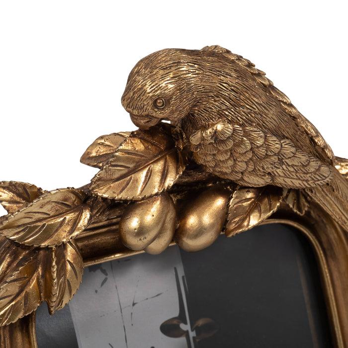Parrot Frame