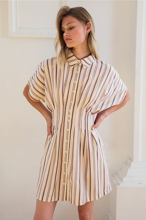 Dola Stripe Mini Dress