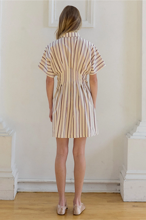 Dola Stripe Mini Dress