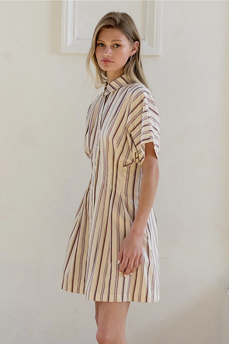 Dola Stripe Mini Dress