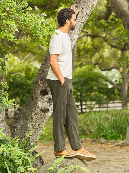 Du Jour Pant Moss