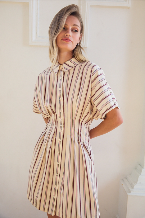 Dola Stripe Mini Dress