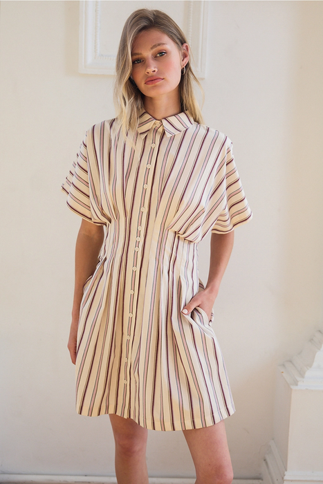 Dola Stripe Mini Dress