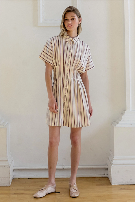 Dola Stripe Mini Dress