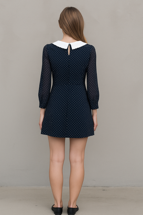 Pois Collar Dress